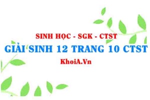 Giải Sinh 12 trang 10 Chân trời Sáng tạo